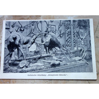 Postkarte Galizische...