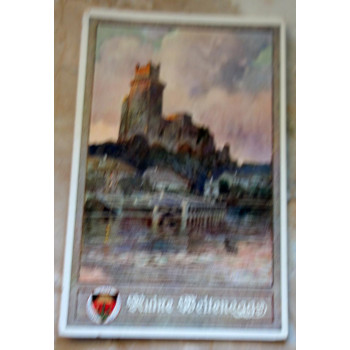 Postkarte Ruine Weitenegg...